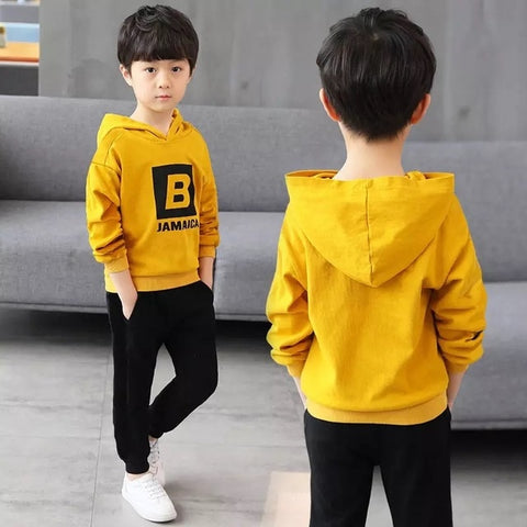 2019 Boys Clothes Set Sweatshirt Pants 2 Piece Outfit Autumn Winter Kids Sport Suit Hooded Children Clothing 7 8 9 10 11 12 Year